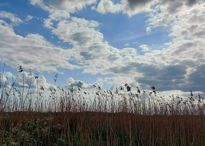 Seaside Charm In Boged-by Traum Præstø